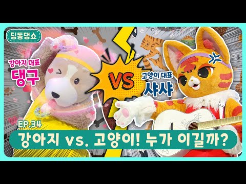 딩동댕쇼ㅣEp.34ㅣ강아지 vs. 고양이! 누가 이길까?ㅣ딩동댕유치원