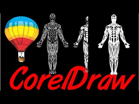 Corel Draw Tips & Tricks Cut this Drawing in half and clean it up