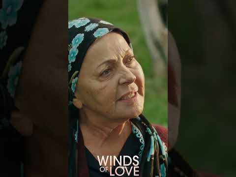 Halil, şaşkınlığını gizleyemiyor | #windsoflove #shorts #ruzgarlitepe