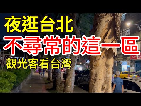 【台灣旅遊】夜逛台北不寻常的这一区・2023年台灣旅行之台北篇・艋舺龙山寺・万华・华西街夜市・广州街夜市・西昌街夜市・迪化街・大稻埕・米其林推薦賣麵炎仔・台北二手书店・台北美食・台灣美食