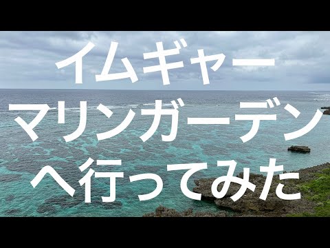 【宮古島】イムギャーマリンガーデン 2024/3/28