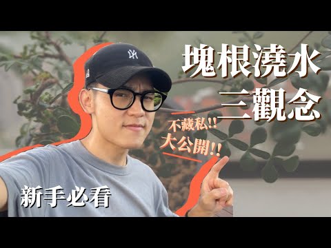 【新手必看】還在困擾多肉塊根如何澆水嗎？只要做對這三件事！讓你塊樂沒煩惱