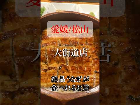 【うなぎ】ふっくら柔らかく皮目が香ばしい絶品ひつまぶし❗️メニューも豊富