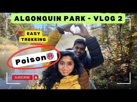 🍁Fall Colors at Algonquin Park - Vlog 2 💥| whiskey Rapids|Exploring Canada’s Best Scenic Trails🌳