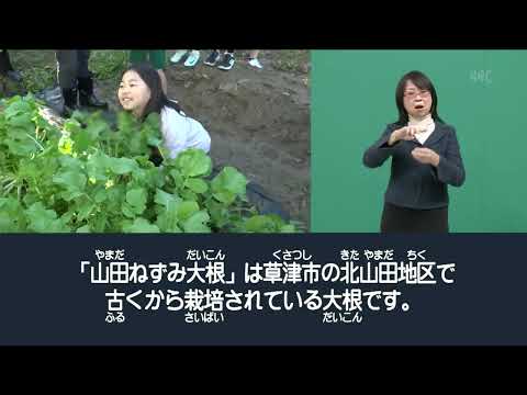 【手話】滋賀県に関する情報を手話でお伝えする「手話タイムプラスワン」（2024年12月20日放送）