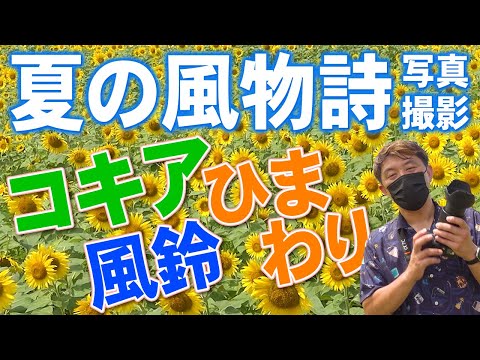 【富山】となみ野の夏の風物詩三選　コンプレッサー見聞録onYouTubeDesigned by The COMP