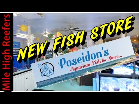 Poseidon's Colorado's Newest Fish Store