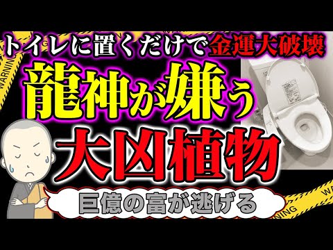 【鬼大事】トイレに置くだけで龍神様が嫌う大凶観葉植物とは！？トイレに置くだけで金運破壊を巻き起こす！