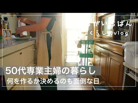 【暮らしのvlog】メガネ紹介/次女のお土産で思い出を語る/新幕登場