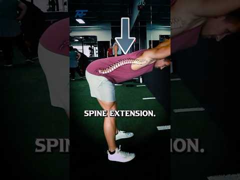 Mobility Routine for Back Pain and Sciatica!