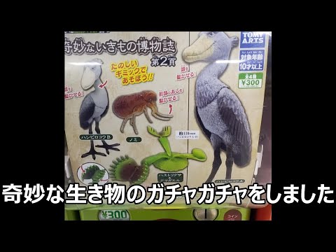 奇妙な生き物のガチャガチャ　300円