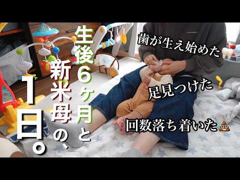 【新米ママの日常vlog】日々成長する生後6ヶ月との１日👶 | 離乳食初期 | 初節句 | ワンオペ | 初産【アラサー主婦】