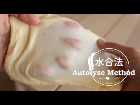 How to AUTOLYSE dough? 「水合法」揉麵糰更輕鬆揉出薄膜的方式 | 俏媽咪潔思米