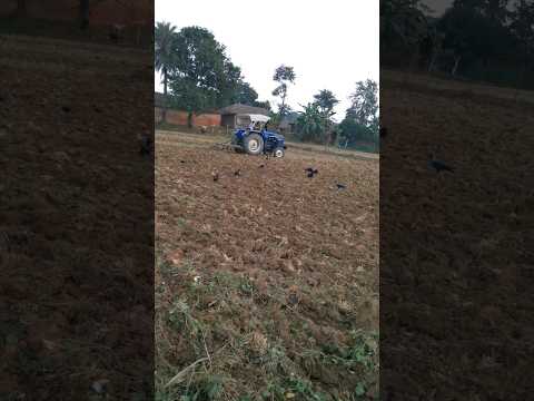 tractor cultivaor//ploughing the field#adventure #viral #shorts #shortsfeed #tractor #tractorlover