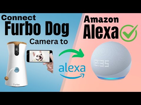 Furbo 360° Dog Camera Setup With Amazon Alexa | Devicessetup