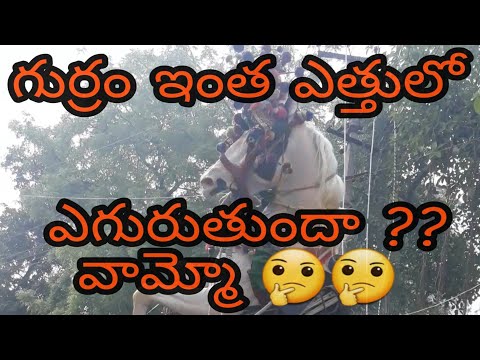 Horse dance / gurram dance video on wedding in telugu