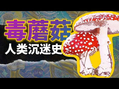 除了愛吃毒蘑菇，人類自古以來還喜歡挖點啥有毒植物來吃？【叮叮貓不咬人】