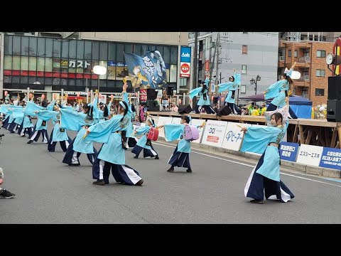 草加よさこいサンバフェスティバル　team清門