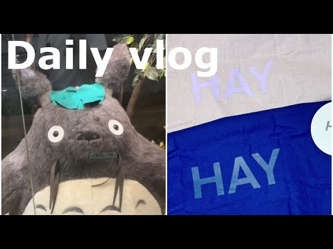 【VLOG】みなとみらい花火大会から始まる1週間｜Daily in Yokohama #4