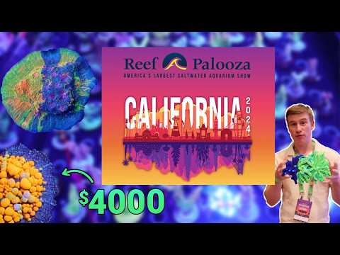 The Nicest Corals at Reefapalooza California 2024!