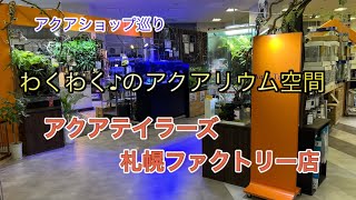 アクアショップ巡り2022 Part.1 アクアテイラーズ札幌ファクトリー店　【アクアショップ】【アクアリウム】