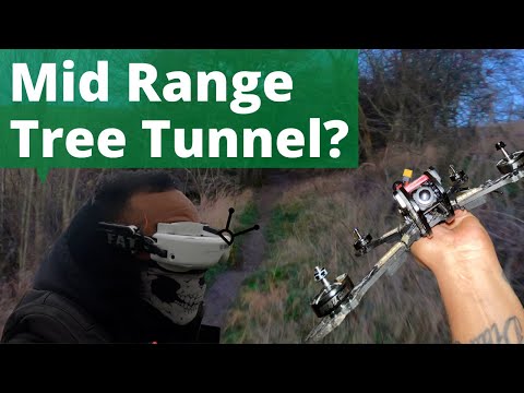 Mid Range FPV: Tree Tunnel With 5 Inch Freestyle Rig Very Cold Evening