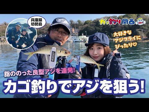 春の家島諸島・坊勢島で、ウキ釣りでアジ狙い【ガッ釣り関西244】