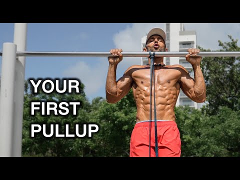 How To Do Your FIRST PULL UP (Beginner)