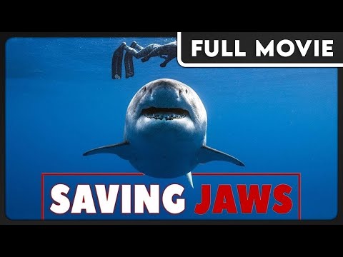 Saving Jaws - Ocean Ramsey Documentary