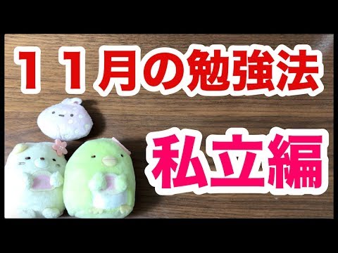 11月から何を勉強すればいいの？【私立大学編】