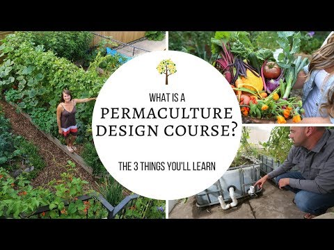 What Is a Permaculture Design Course?