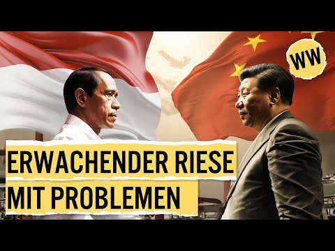 Warum ist Indonesiens Wirtschaft auf der Überholspur? | WirtschaftsWissen