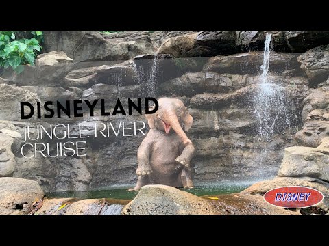 Hong Kong Disneyland #Jungle River Cruise｜【#TravelWithDex Vlog 08】 #travel