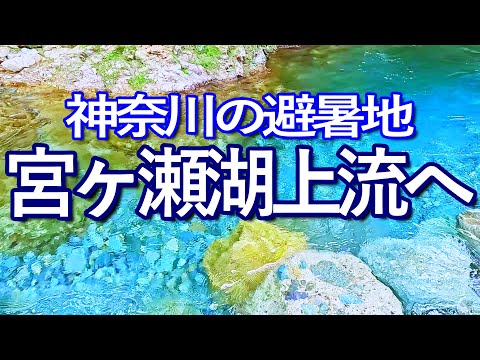 神奈川ゆる旅　宮ヶ瀬湖上流に足を運び、山奥の避暑地の川で泳ぐ