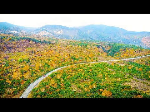 【宮城県観光映像】紅葉の蔵王エコーライン