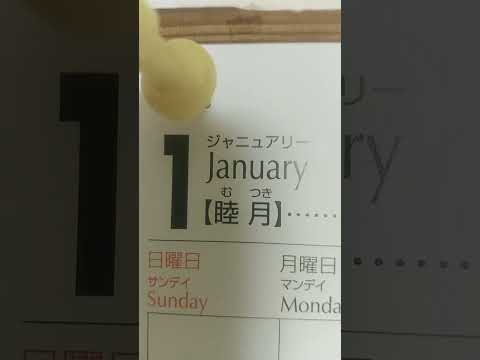 今年今月は❓️