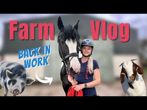 The One You've Been Waiting For | FARM VLOG