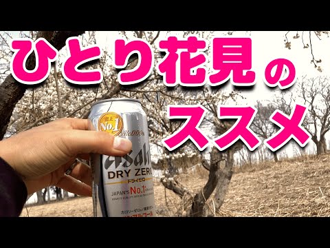 【ソロキャンプ】実践！！初心者向けお花見デイキャンプの練習。お一人様ピクニックをゆる～くやる。