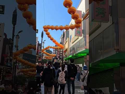 Yes,Let's go to Yokohama!（Yokohama Chinatown）そうだ、横浜へ行こう！（横浜中華街）【4K】#travel #japan #shorts #food