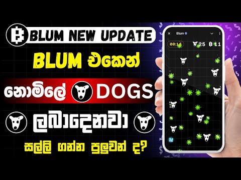 Blum aiderop  sinhala | Blum airdrop new updates | blum telegram aidrop