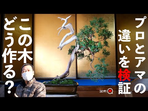 I verified the difference between how to make a professional and an amateur. [Bonsai Q]