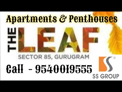 The LEAF By SS Group | The LEAF | SS THE LEAF | Sector 85 Gurgaon | Dwarka Expressway | SS CITY