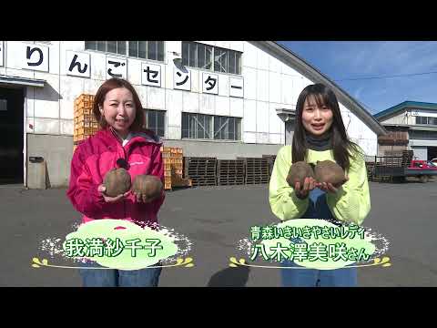 「Fresh Vegetable」旬の青森県産丸いもを紹介♪