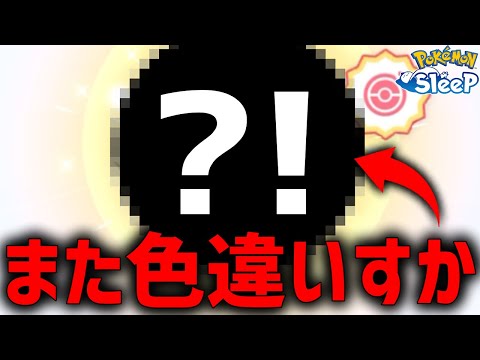 頼むからホリデーイベント前に本気出さんでくれ...【ポケモンスリープ】