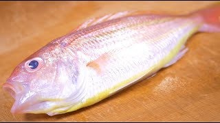 イトヨリのさばき方と調理方法～How to fillet a Yellowbelly threadfin bream and make sushi and sashimi.～