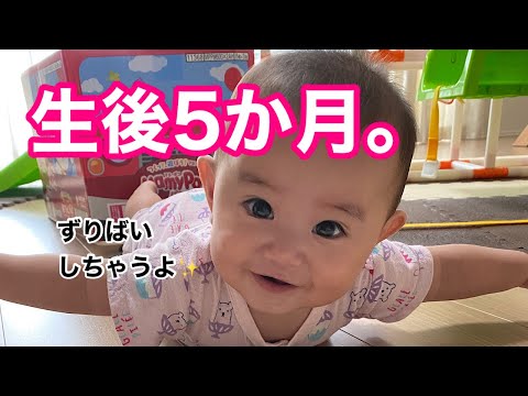 【生後５か月】朝起きてから夜寝るまでの赤ちゃんの１日。生後５か月になりました！【密着】