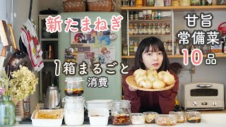 甘旨！新たまねぎの10品作り置き【食材保存/消費レシピ/使い切り】