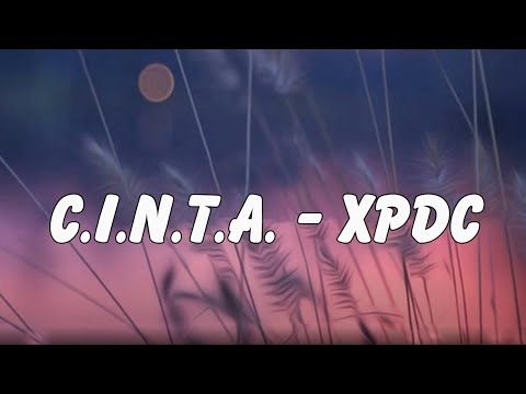 C.I.N.T.A. - XPDC ( Lirik )