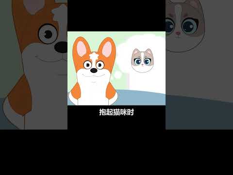 【宠物科普】你知道正确的抱猫方法吗？