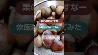 栗の季節🌰✨🌰✨🌰✨🌰✨だね~~~